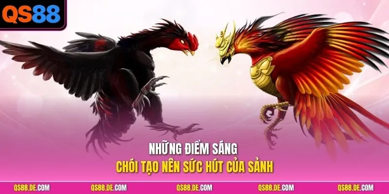 Những điểm sáng chói tạo nên sức hút của sảnh