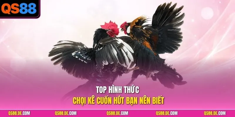 Top hình thức chọi kê cuốn hút bạn nên biết
